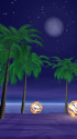 海岸沿いの夜