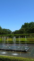 神代植物公園の噴水