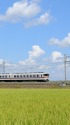 東武350系 特急きりふり