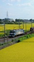 EF210-133 貨物列車