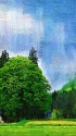 トトロの森