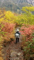 秋の登山道