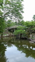 玄宮園の池と緑