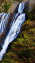 錦秋の袋田の滝