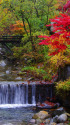 古峰神社付近の紅葉