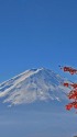 紅葉の富士