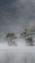 朝霧の曽原湖