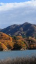 草木湖紅葉2
