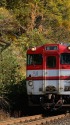 紅葉の磐越西線を行くキハ40系