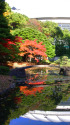 小石川後楽園と東京ドーム