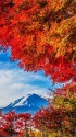 河口湖沿いからの富士山