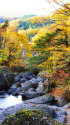 奥久慈・渓谷の秋