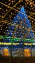 クリスマスツリーと光のトンネル