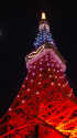 東京タワー・Xマスライトアップ
