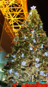 東京タワーのクリスマスツリー