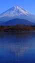 冬富士 ・精進湖より 2