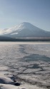 山中湖の氷結