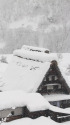 豪雪の世界遺産菅沼合掌造り集落