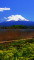 春の富士 河口湖から