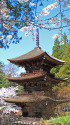 新海三社神社 三重塔