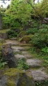 由志園の石段と緑