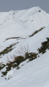 立山の雄雷鳥10
