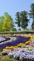 フラワーパークの花壇