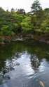 由志園の池と緑