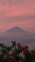 朝焼け富士山