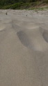 砂浜の砂