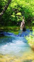 上高地の清流・夏のきらめき