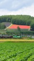 富良野・美瑛ノロッコ号