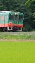 夏の真岡鐵道
