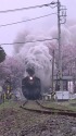 真岡鉄道 SLもおか