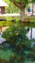 忍野八海・涌池