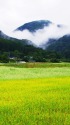 南会津・初秋の田園風景