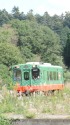 親子でお出かけ