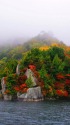 霧に浮かぶ紅葉