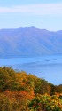 十和田湖の紅葉1