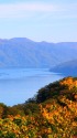 十和田湖の紅葉2