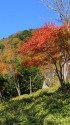 紅葉の山2