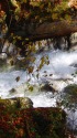 秋の西沢渓谷