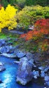 秋色の御岳渓谷