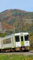 紅葉の磐越西線を行くキハ110系