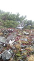 爺ヶ岳の雷鳥達5