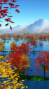 紅葉の湖