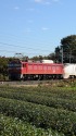 お茶畑とEF81 134+651系配給列車