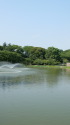 名城公園の池
