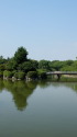 名城公園の池と緑