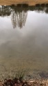 水面